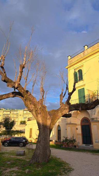 Holiday home La Cupola Dei Sogni